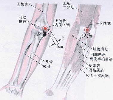 通天穴|医砭 » 经穴库 » 通天